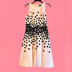 💫HOST PICK💫 NWT Tahari ASL Black Polka Dot Jacquard Pleated Flare Dress-Blush